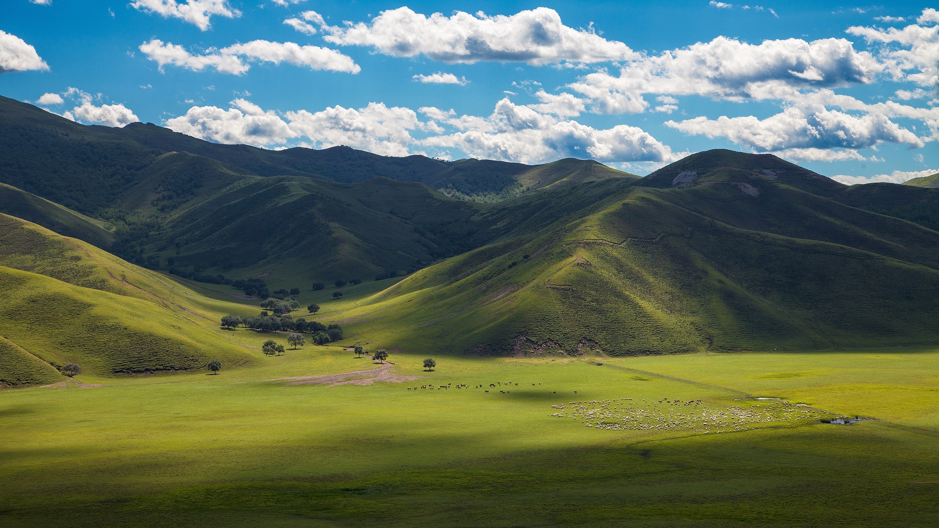 Inner Mongolia grassland summer